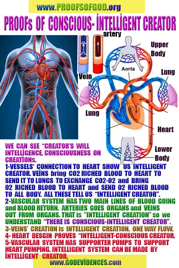 proofs of god, proofs-god, evidences of god, evidences-god, god exists proofs