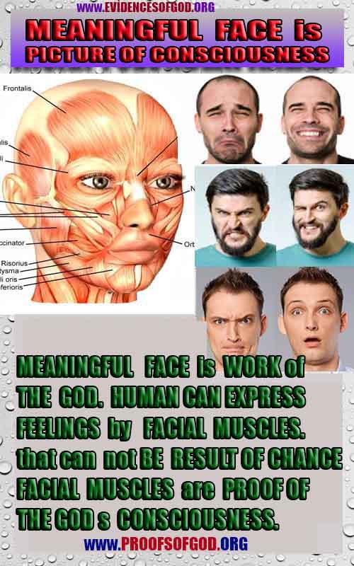 proofs of god, proofs-god, proofs god, evidences of god, evidences-god, god exists, god is real