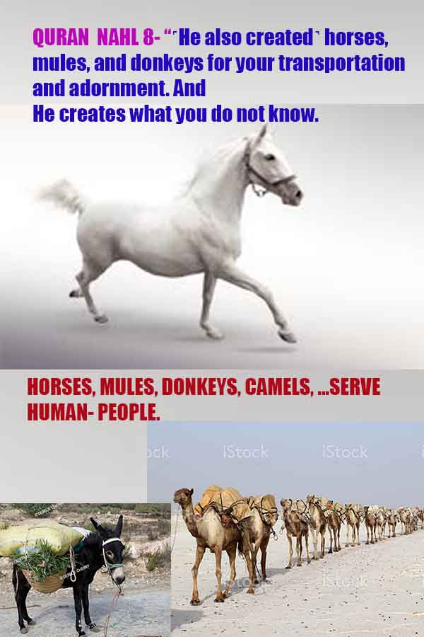 scientific proofs of god, proofs-god, evidences of god, evidences-god, god exists, god is real, signs of god