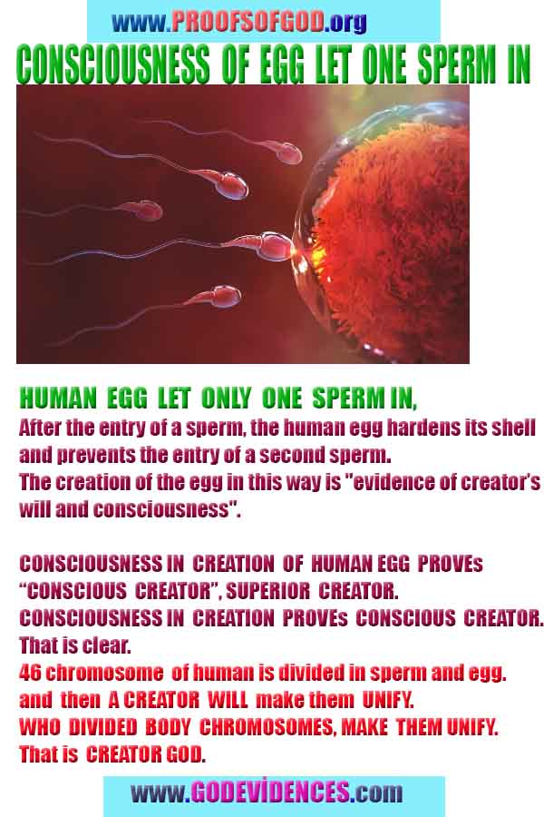 proofs of god, proofs-god, proofs god, evidences of god, evidences-god