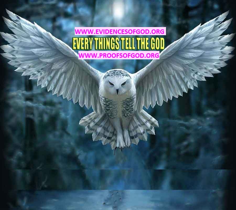 proofs of god, proofs-god, evidences of god, evidences-god, god exists proofs