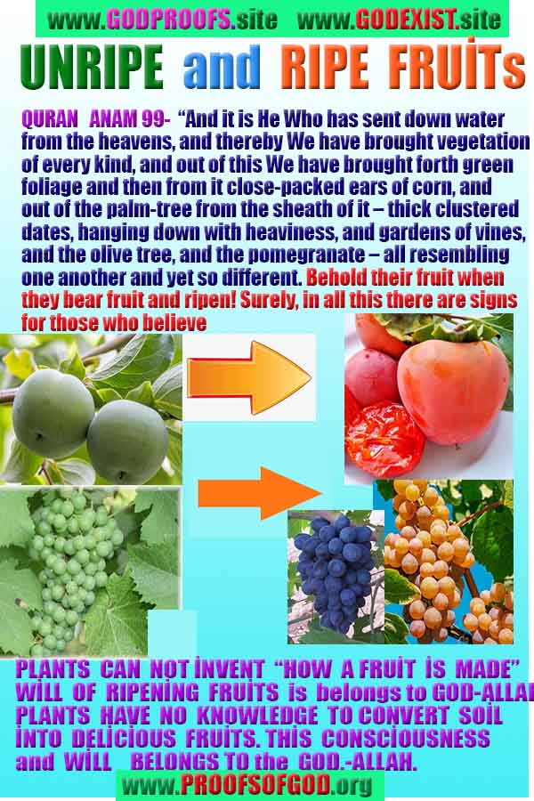 proofs of god, proofs-god, evidences of god, evidences-god, god exists, god is real, signs of god