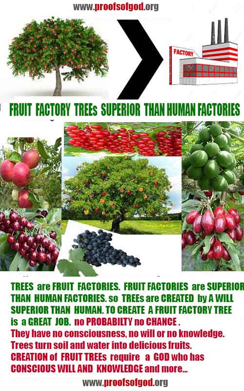 proofs of god, proofs-god, proofs god, evidences of god, evidences-god